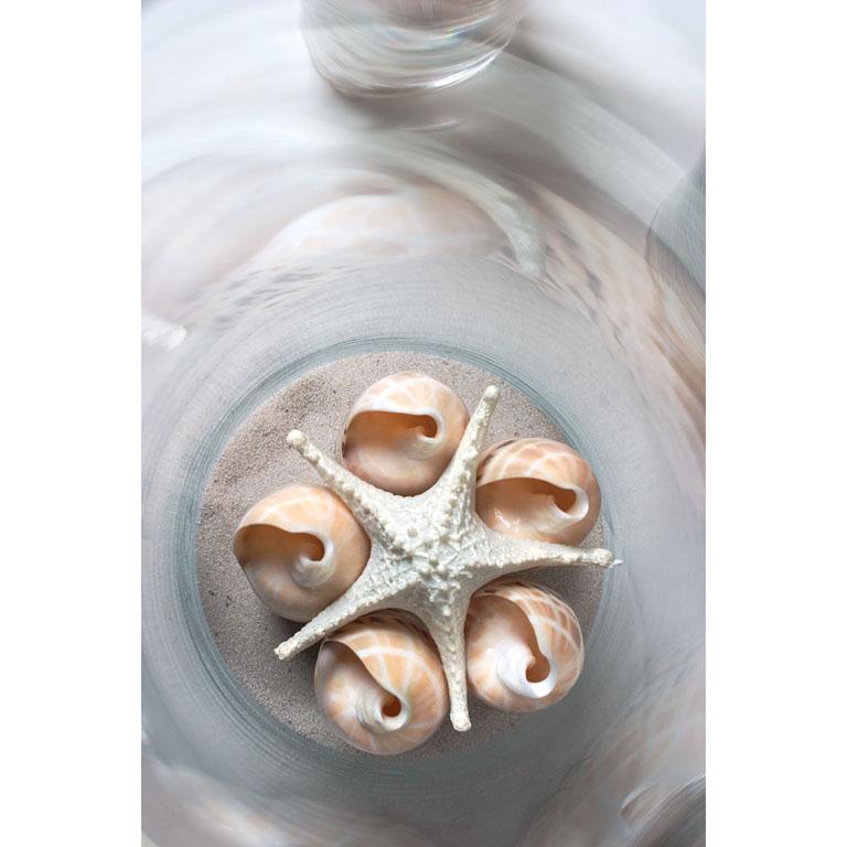 Starfish Medium White 3D