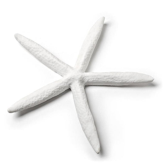 Starfish Medium White