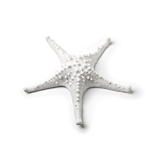 Starfish Medium White 3D