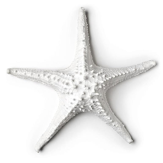 Starfish Large White 3D