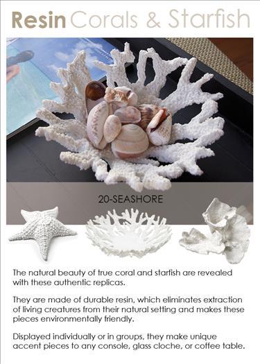 Starfish Large White 3D